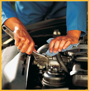 Maintenance & Services